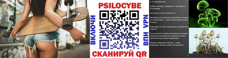 Псилоцибиновые грибы мицелий  Спасск 